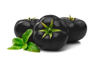 Black Tomato काला टमाटर | Rashtriya Paryavaran Sanrakshan Parishad
